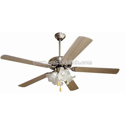 Ceiling Fan