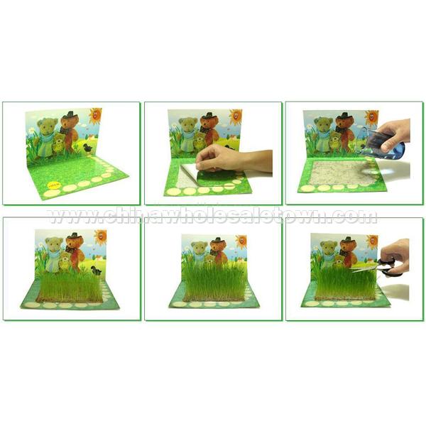 Grass Growing Card