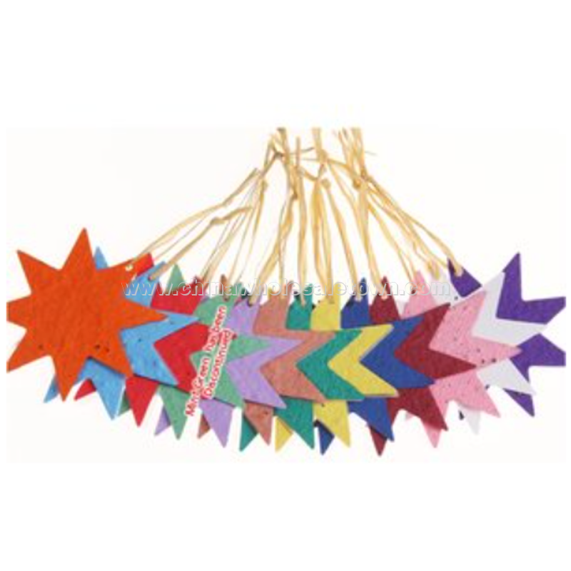 Seeded Paper Ornament - Star