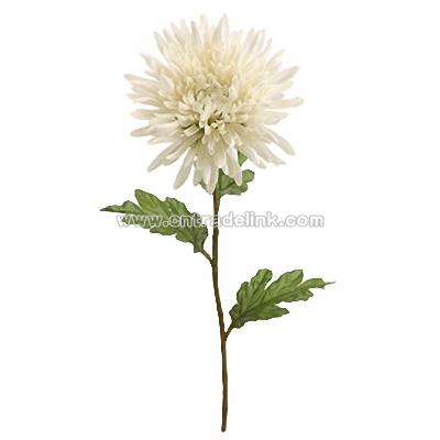 25" Silk Spider Dahlia Spray in Cream