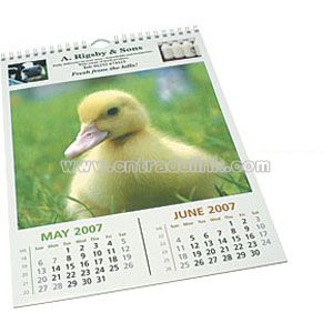 ECONOMY WALL CALENDARS