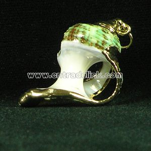 Real Shell Pendant with Gold Binding