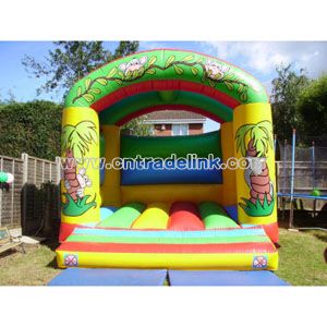 Inflatable Bouncy