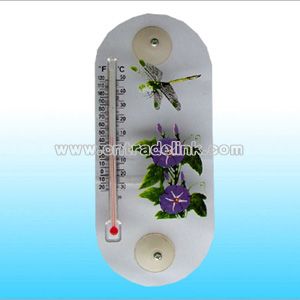 Plastic Thermometers