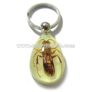 Real Insect Key Chain