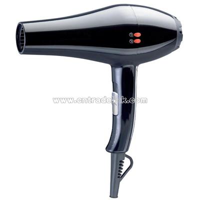 Professional Hair Dryer