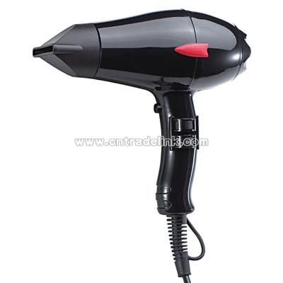 Professional Hair Dryer