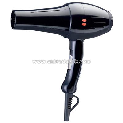 Professional Hair Dryer