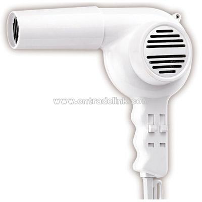 Novelty Hair Dryer