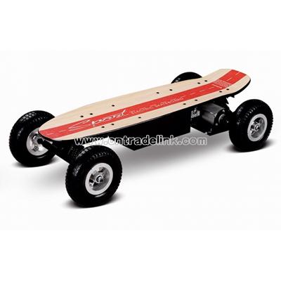 Electric Skateboard