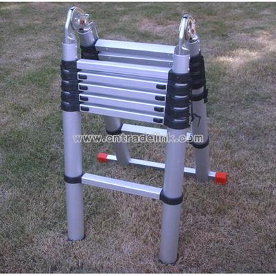 Magic Alloy Extension Ladder