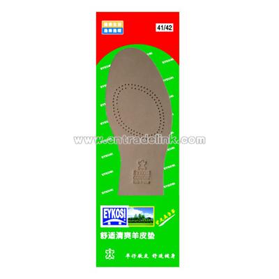 Shoe Insole